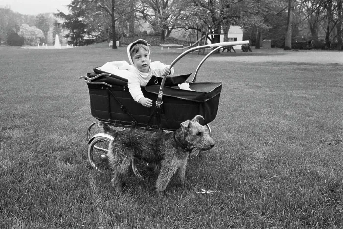 Framed Print : John F. Kennedy Jr. in a Baby Carriage Framed Print : John F. Kennedy Jr. in a Baby Carriage