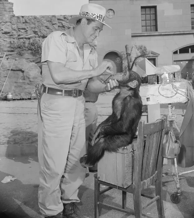 Framed Print : Johnny Weissmuller Putting Makeup on Tamba Framed Print : Johnny Weissmuller Putting Makeup on Tamba