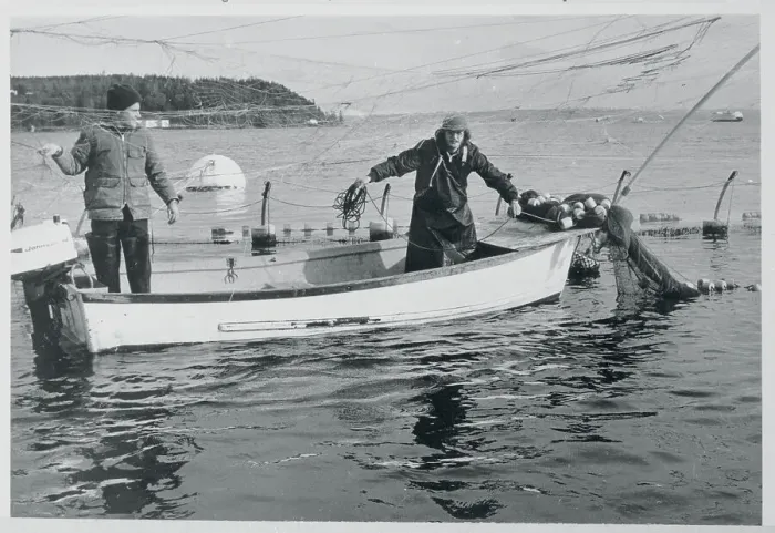 Framed Print : Jon Lindbergh Fishing Framed Print : Jon Lindbergh Fishing