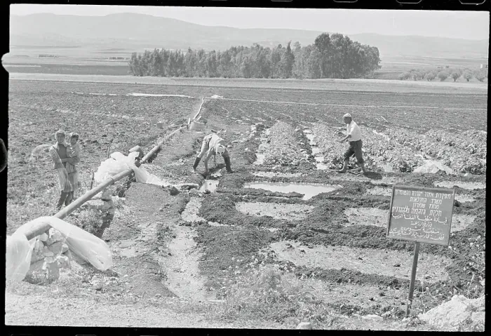 Framed Print : Jordanian Farmers Toiling in Field Framed Print : Jordanian Farmers Toiling in Field