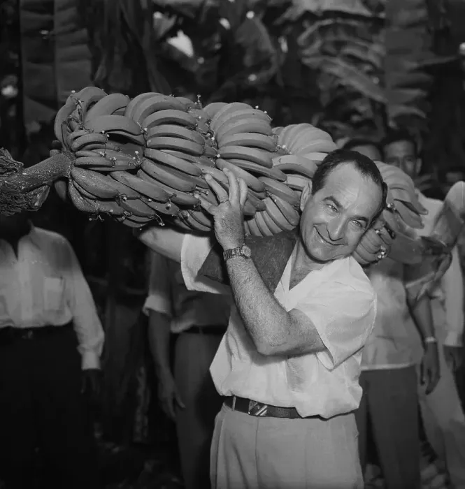 Framed Print : Jose Figueres Carrying Bananas Framed Print : Jose Figueres Carrying Bananas