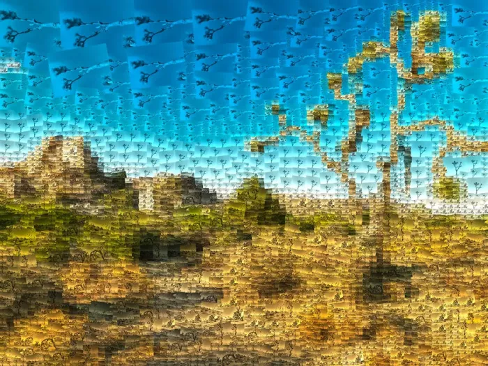 Framed Print : Joshua Tree Mosaic Framed Print : Joshua Tree Mosaic