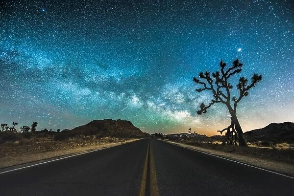 JT Road. The road at Joshua Tree with the milky way rising above