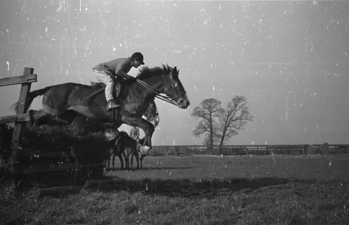 Framed Print : Jumping Horse Framed Print : Jumping Horse