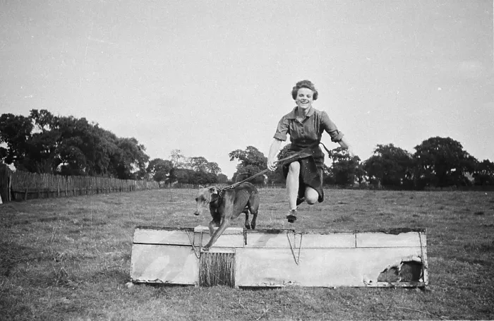 Framed Print : Jumping Hurdles