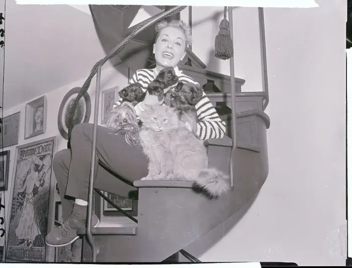 Framed Print : June Havoc Sitting with Cat Framed Print : June Havoc Sitting with Cat