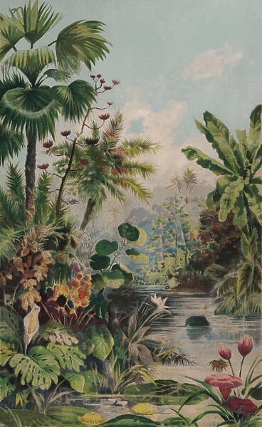 Jungle landscape, chromolithograph, published in 1895