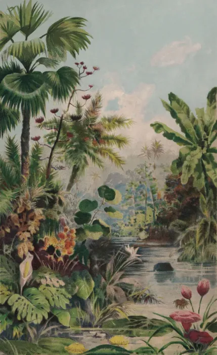Framed Print : Jungle landscape, chromolithograph, published in 1895 Framed Print : Jungle landscape, chromolithograph, published in 1895