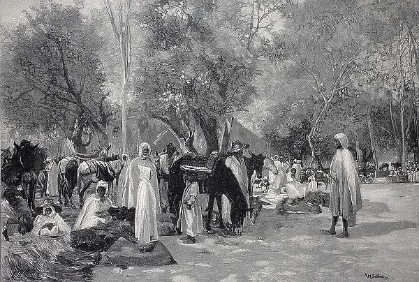 A Kabyle Market, Algeria, North Africa (1898), Historic, digital reproduction of an original 19th-century original, original date unknown