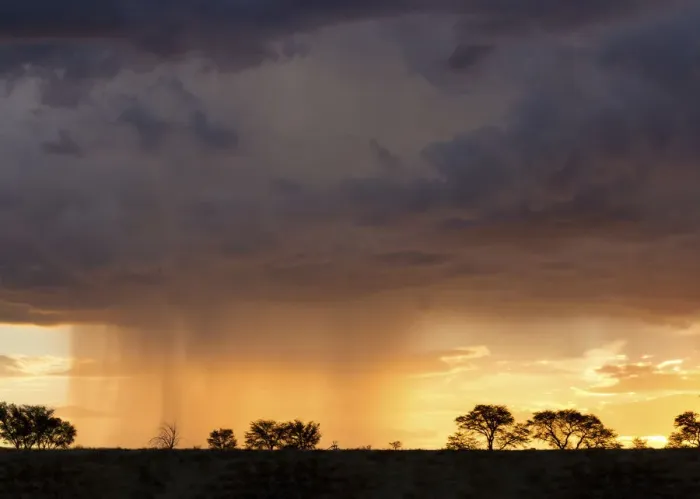 Framed Print : Kalahari rain storm approaching in the late afternoon with silhouetted trees - Kgalagadi Transfronteer Park South Africa