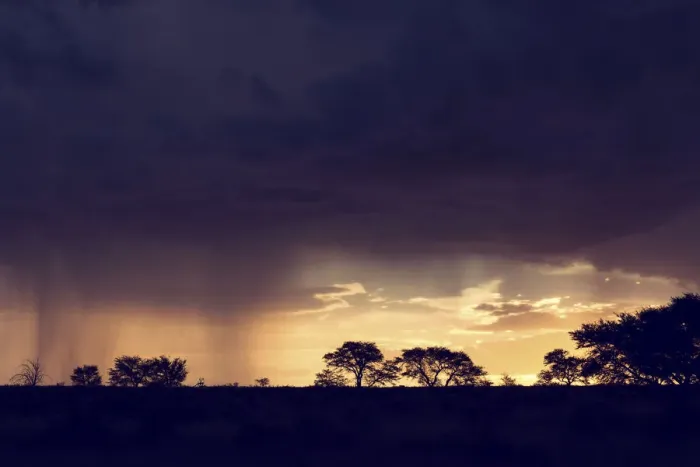 Framed Print : Kalahari rain storm approaching in the late afternoon with silhouetted trees - Kgalagadi Transfronteer Park, South Africa