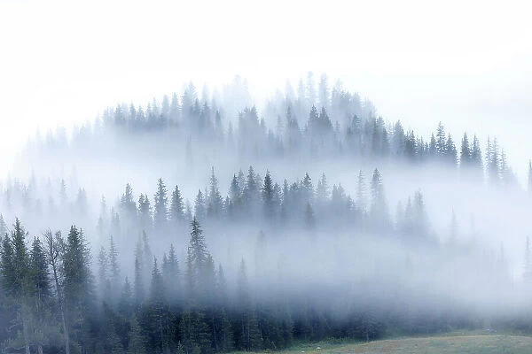 kanas morning fog