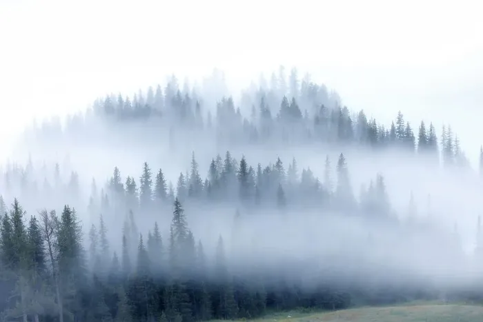 Framed Print : kanas morning fog Framed Print : kanas morning fog