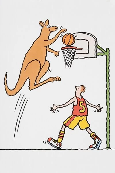 Kangaroo scoring at basketball