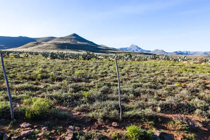 Framed Print : Karoo landscape, with mountains and unique fauna. Kompasberg mountain is in the background Framed Print : Karoo landscape, with mountains and unique fauna. Kompasberg mountain is in the background