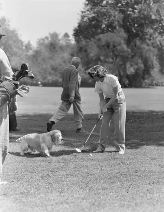 Framed Print : Katharine Hepburn Golfs, Dog In Front Framed Print : Katharine Hepburn Golfs, Dog In Front