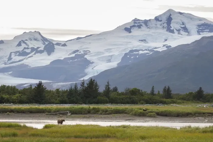 Framed Print : Katmai National Park Framed Print : Katmai National Park