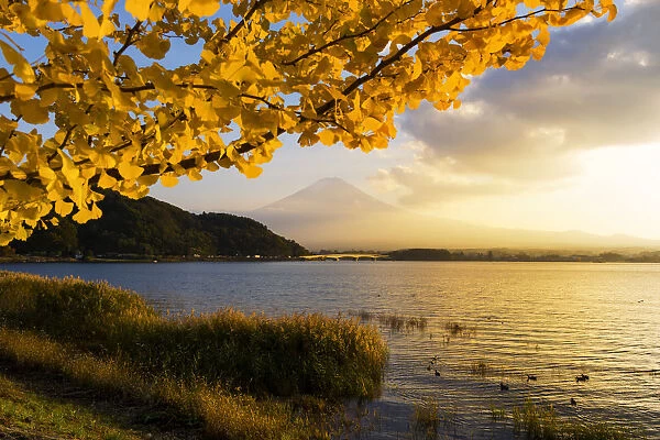 Kawaguchiko lake in autumn season