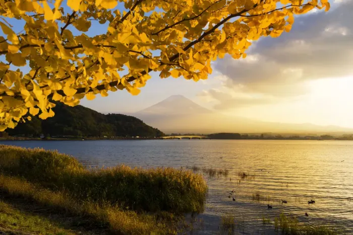 Framed Print : Kawaguchiko lake in autumn season