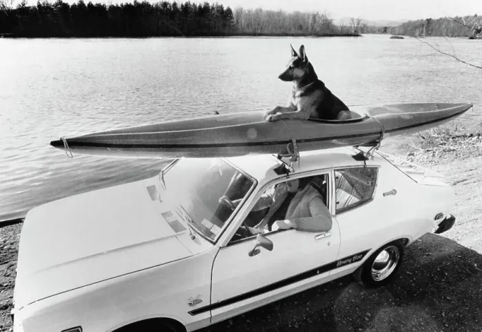 Framed Print : Kayak Dog. Riding high along the shores of the Hudson River is King in a kayak
