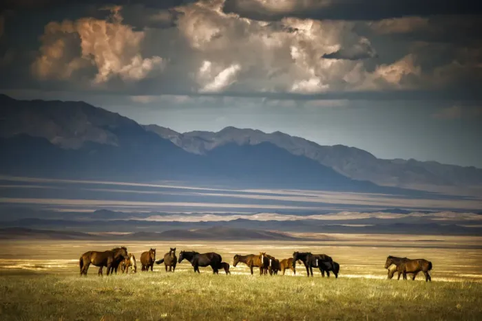 Framed Print : Somewhere Down in Kazakhstan