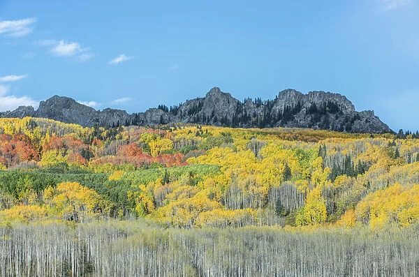 Kebler Pass in autumn, Gunnison National Forest, Colorado, USA