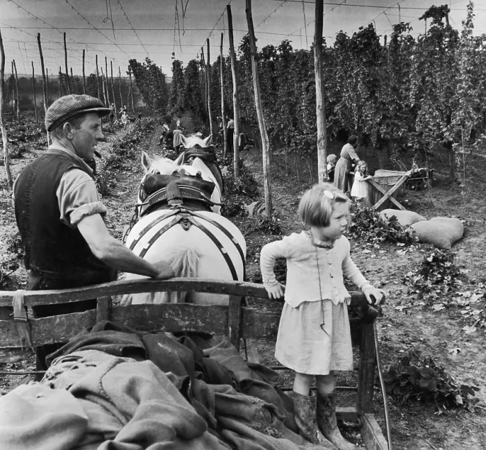 Framed Print : Kent Hop Pickers Framed Print : Kent Hop Pickers
