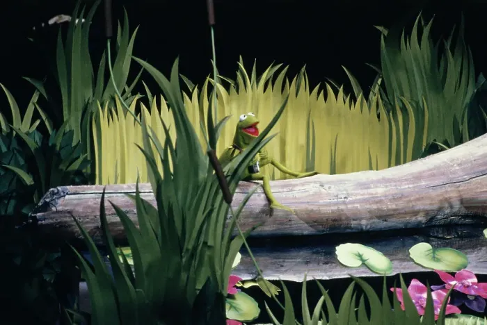 Framed Print : Kermit Performing At Oscars Ceremony Framed Print : Kermit Performing At Oscars Ceremony