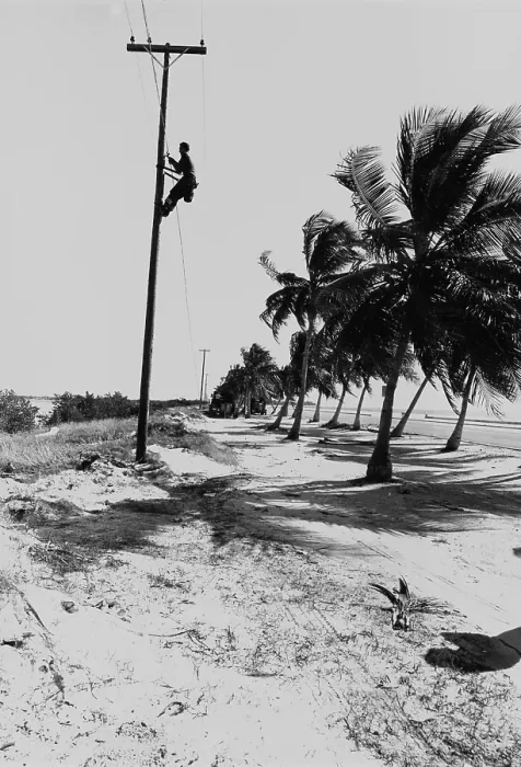 Framed Print : Key West Lineworker