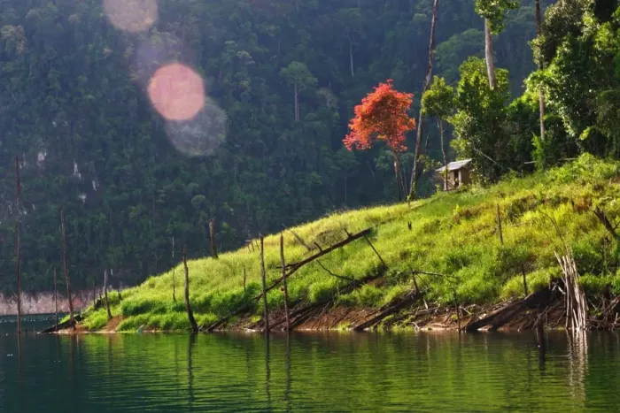 Framed Print : Khao Sok National Park Framed Print : Khao Sok National Park