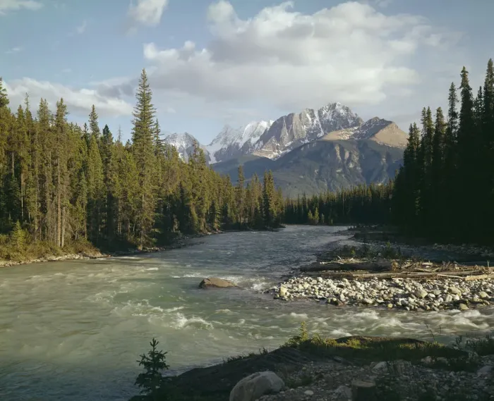 Framed Print : Kicking Horse River Framed Print : Kicking Horse River