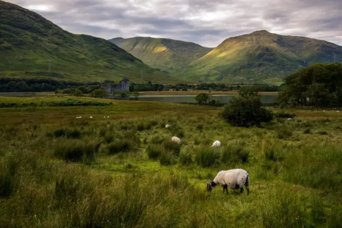 Framed Print : Kilchurn Castle, Scotland Framed Print : Kilchurn Castle, Scotland