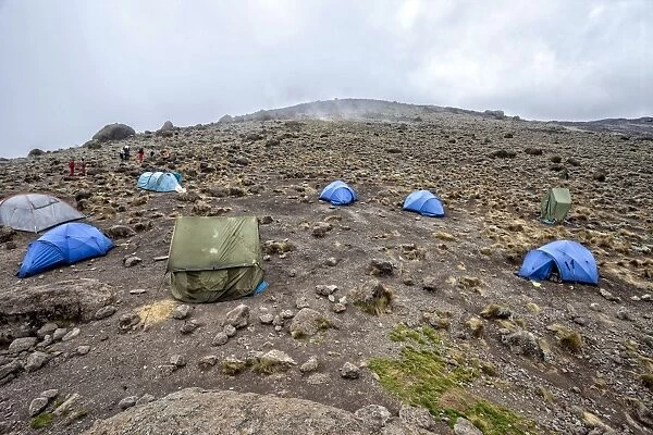Kilimanjaro, Africa