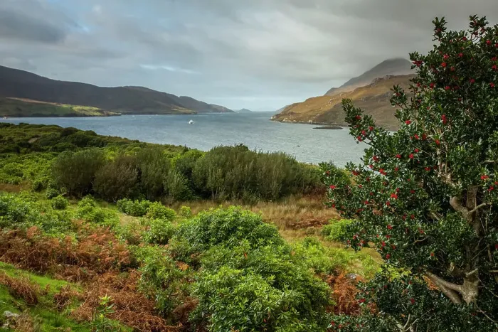 Framed Print : Killary fjord, Wild Atlantic Way Framed Print : Killary fjord, Wild Atlantic Way
