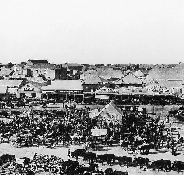 Kimberley Market