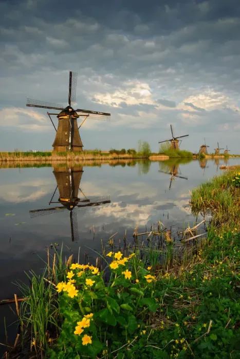 Framed Print : Kinderdijk Reflections Framed Print : Kinderdijk Reflections