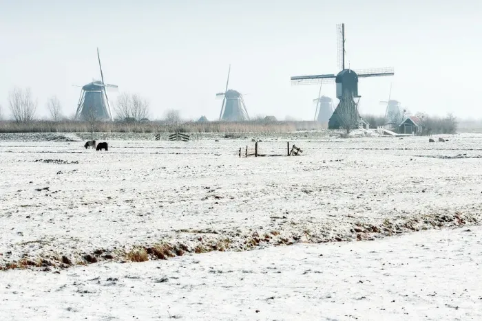 Framed Print : Kinderdijk snow Framed Print : Kinderdijk snow