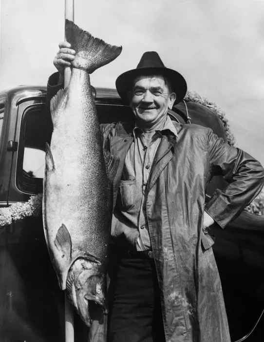 Framed Print : King Salmon Framed Print : King Salmon