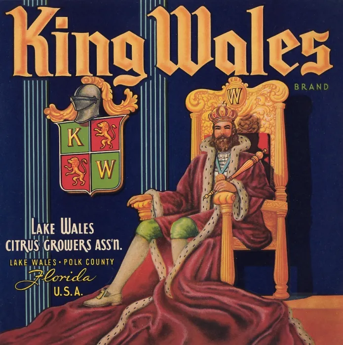 Framed Print : King Wales Framed Print : King Wales