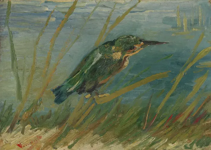 Framed Print : Kingfisher By The Waterside Framed Print : Kingfisher By The Waterside