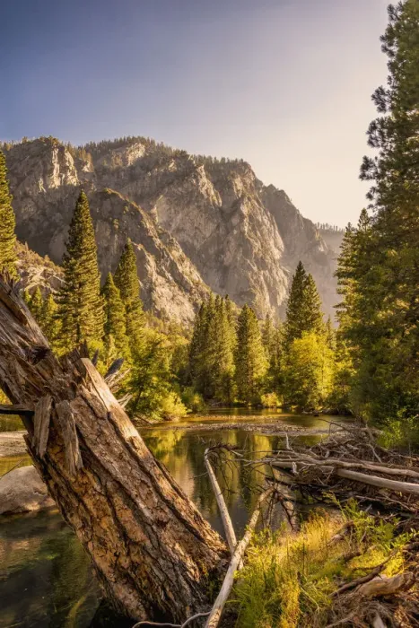 Framed Print : Kings Canyon National Park Framed Print : Kings Canyon National Park