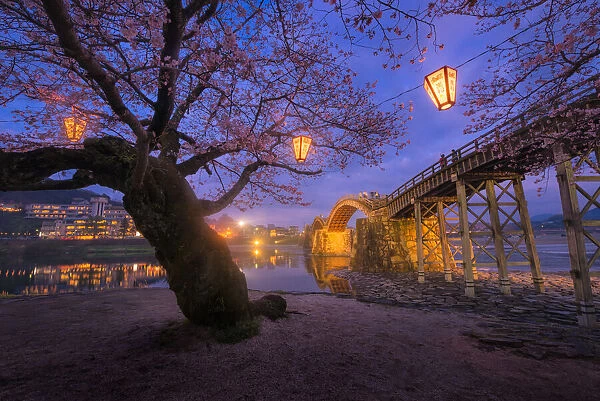 Kintai Bridge. Cherry Blossom at Kintai Bridge in Iwakuni, Japan