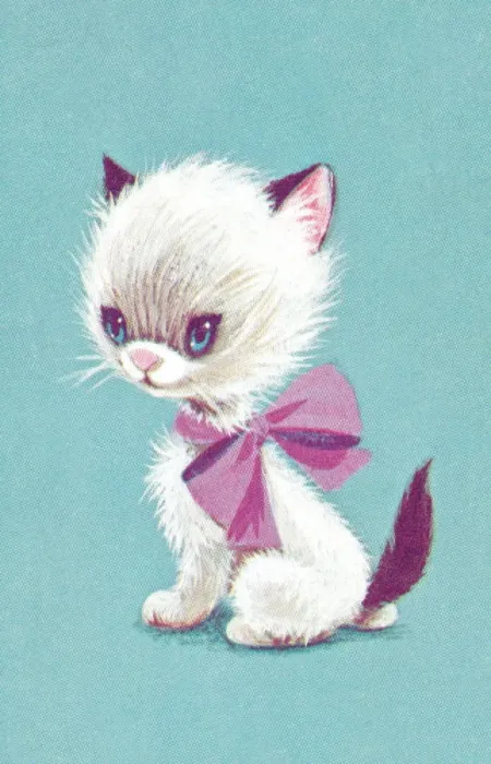 Framed Print : Kitten. http: /  / csaimages.com / images / istockprofile / csa_vector_dsp.jpg