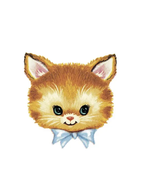 Framed Print : Kitten Wearing Blue Bow Framed Print : Kitten Wearing Blue Bow