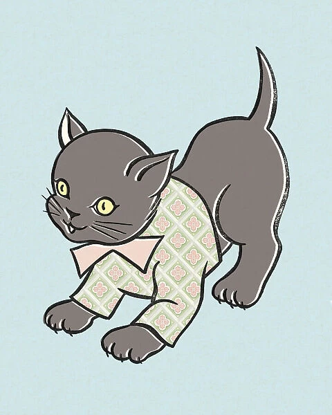 Kitten Wearing a Shirt and Bowie