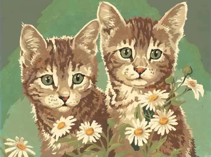 Framed Print : Two kittens Framed Print : Two kittens