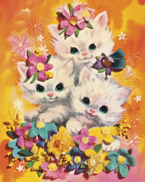 Framed Print : Three Kittens Framed Print : Three Kittens