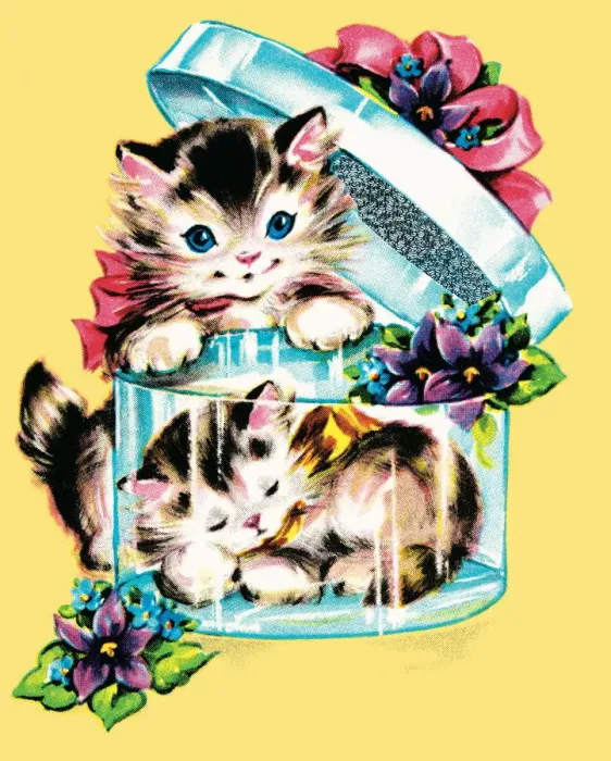 Framed Print : Kittens in a box Framed Print : Kittens in a box
