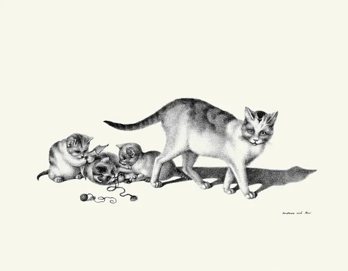 Framed Print : Three Kittens Playing Framed Print : Three Kittens Playing
