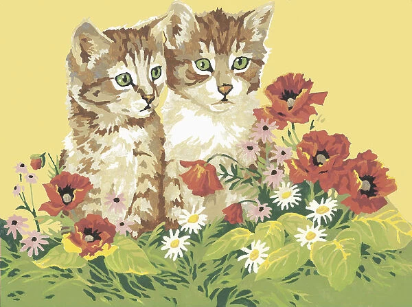 Kittens and Poppies